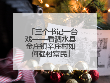 三个书记一台戏——看泗水县金庄镇辛庄村如何强村富民